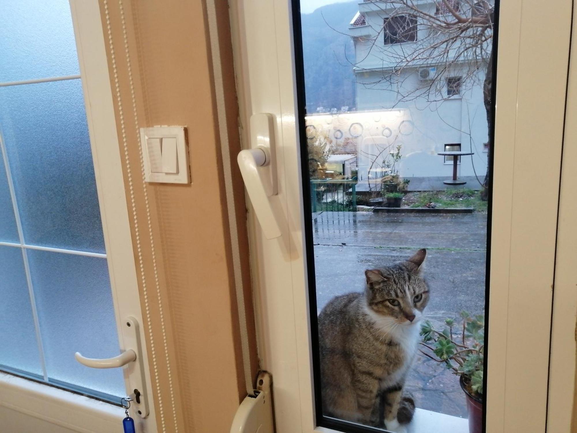 Apartments Zeljka-Dobrota Котор Стая снимка